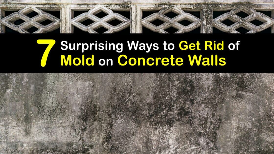 Eliminate Concrete Mold Tricks to Remove Mold from Block Walls