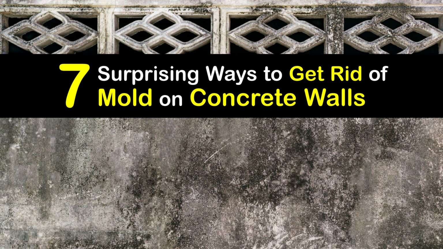 Eliminate Concrete Mold Tricks to Remove Mold from Block Walls