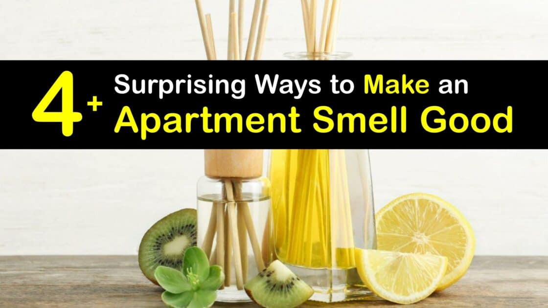 Banish Apartment Odors Keep an Apartment Smelling Fresh