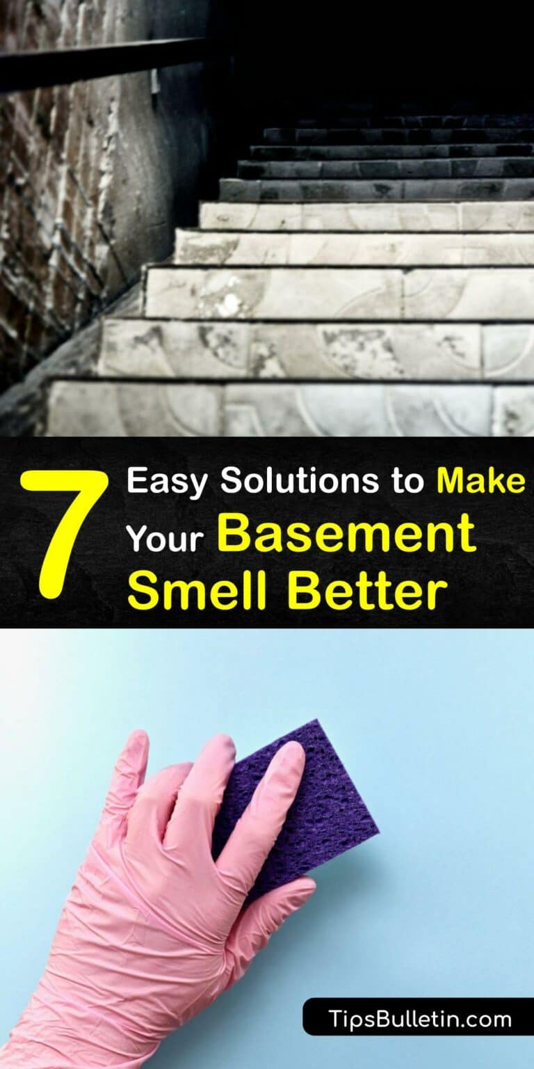 Make Your Basement Smell Better Tips for Freshening the Cellar