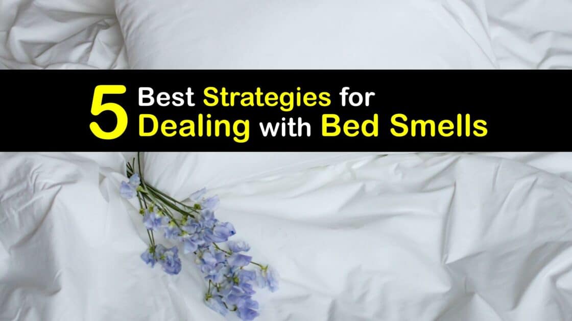 Freshen Bed Odors Fast Guide to Making the Bed Smell Good