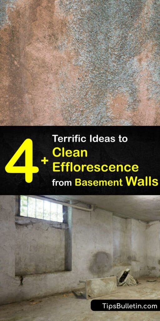 Poor basement waterproofing and the need for foundation repair allow in moisture, leading to a soluble salt deposit on your basement wall. Quickly clean efflorescence with a distilled white vinegar and clean water mixture or hydrochloric acid. #remove #efflorescence #basement #walls