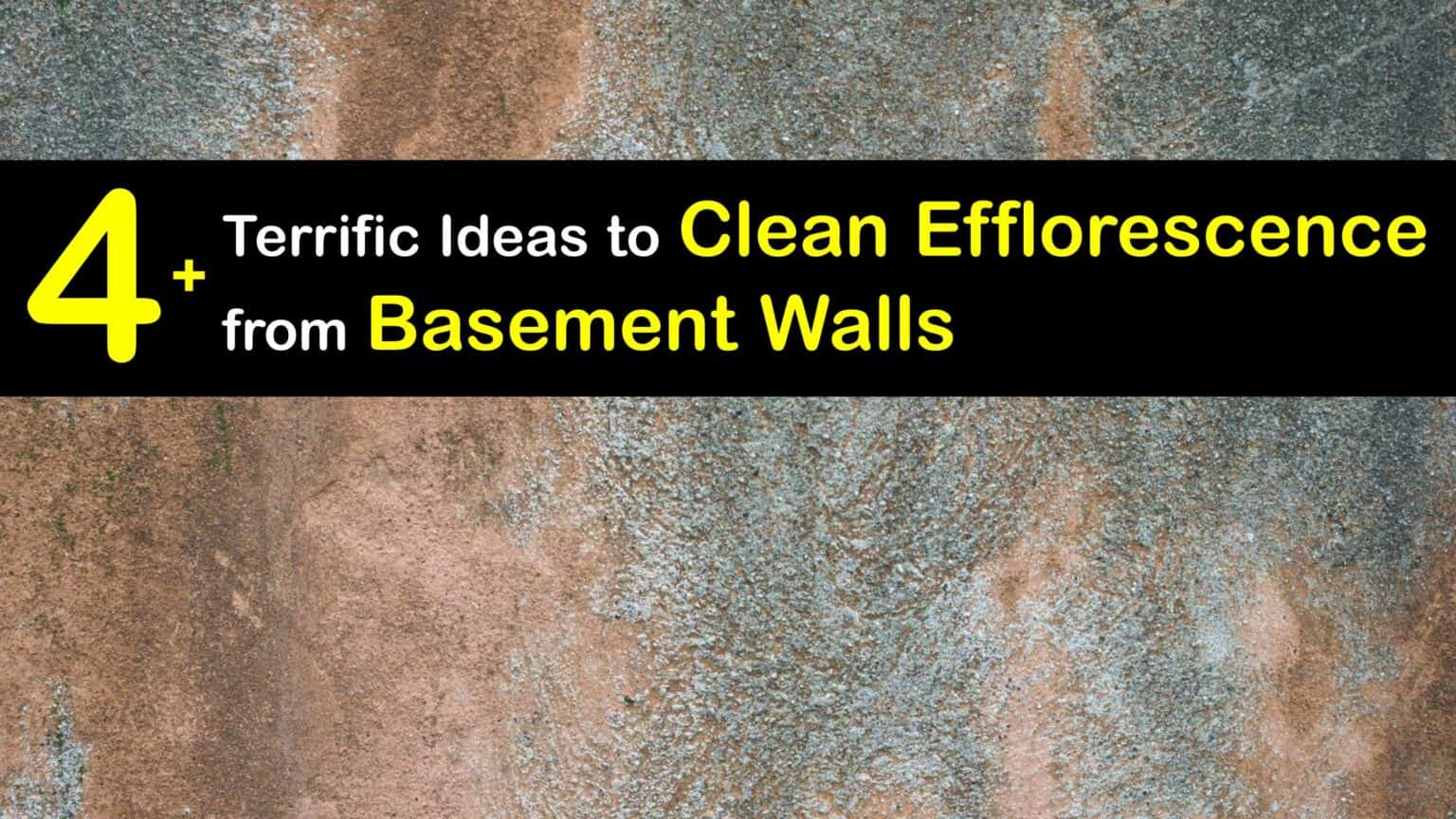 Cleaning Efflorescence Ways to Get Powder Off Basement Walls