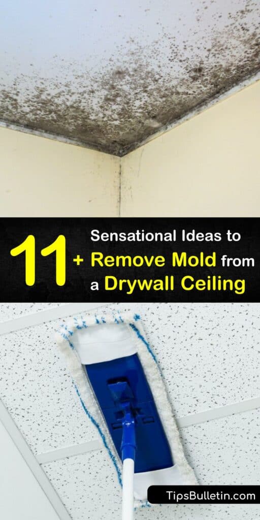 Water damage makes mold grow on your drywall ceiling or popcorn ceiling. It’s crucial to destroy mold spores and begin mold removal promptly. Clean mold with DIY tricks using baking soda or white vinegar, and prevent mold growth by controlling humidity. #remove #mold #drywall #ceiling