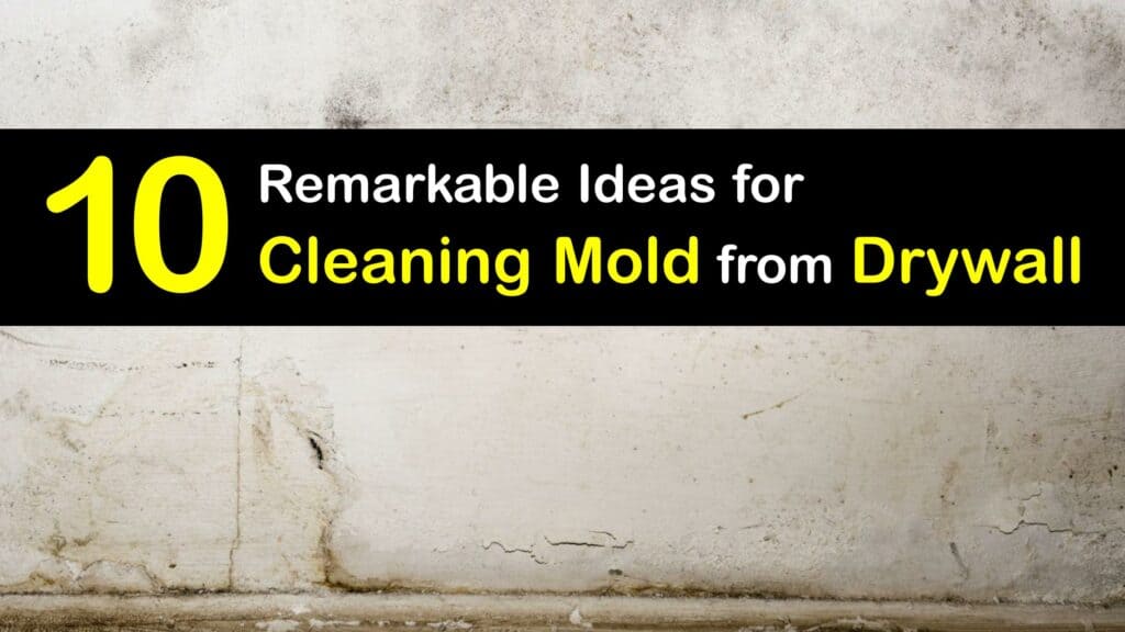 How to Remove Mold from Drywall titleimg1