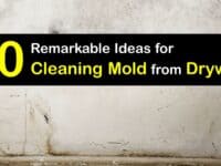 How to Remove Mold from Drywall titleimg1
