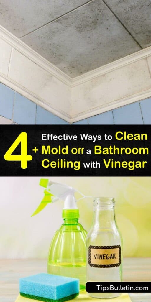 If killing mold is your priority, we’ve got the mold removal tips you need. Discover how to remove bathroom mold and stop mold growth on any porous surface with vinegar. Make your bathroom sparkle again with our in-depth tutorial. #remove #mold #bathroom #ceiling