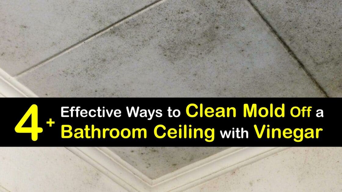 Bathroom Ceiling Cleaning Getting Mold Off Ceilings with Vinegar