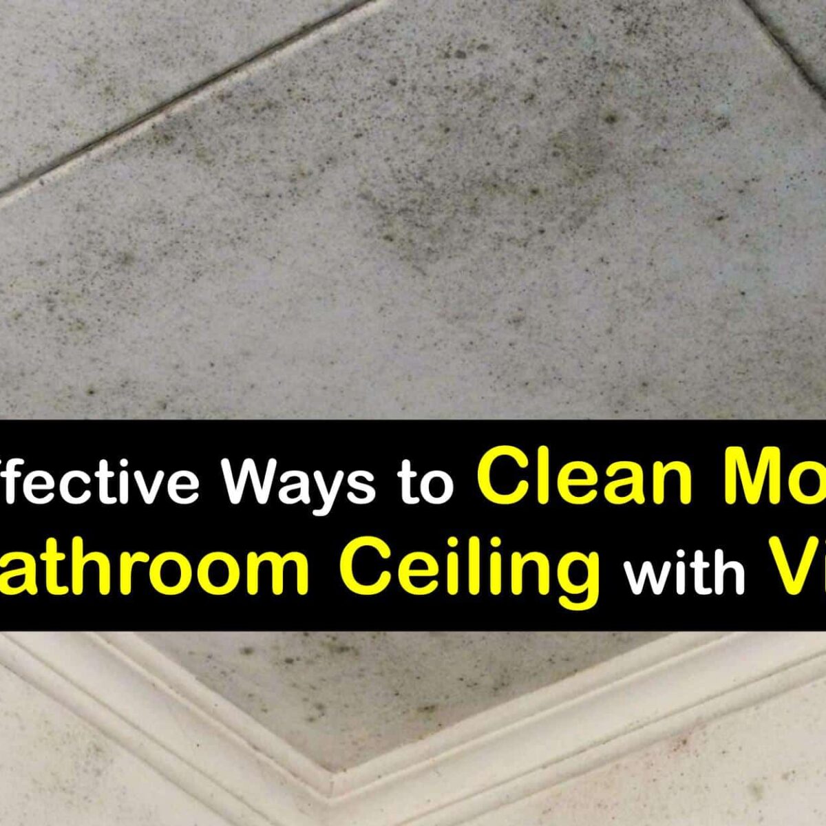 Bathroom Ceiling Cleaning Getting