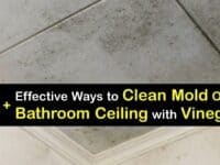 How to Remove Mold from the Bathroom Ceiling with Vinegar titleimg1