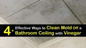 How to Remove Mold from the Bathroom Ceiling with Vinegar titleimg1
