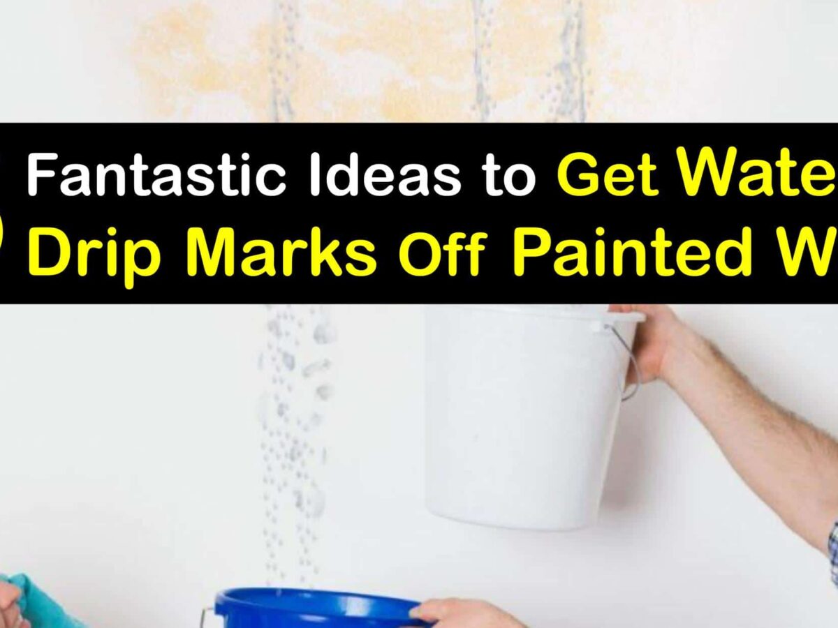 Anna Warner, Author at Tips Bulletin