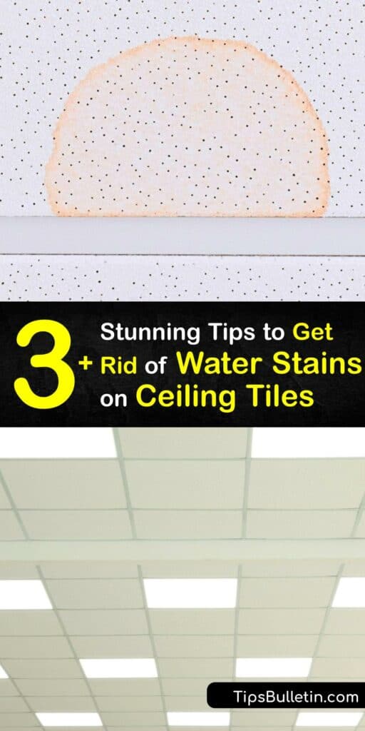 Discover how to remove hard water stains from ceiling tile in a few simple steps. Water damage causes hard water stains on the ceiling panel. Remove these stains with bleach, white vinegar, primer, and paint. #howto #remove #water #stains #ceiling