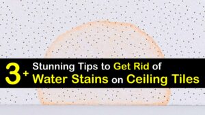 How to Remove Water Stains from Ceiling Tiles titleimg1
