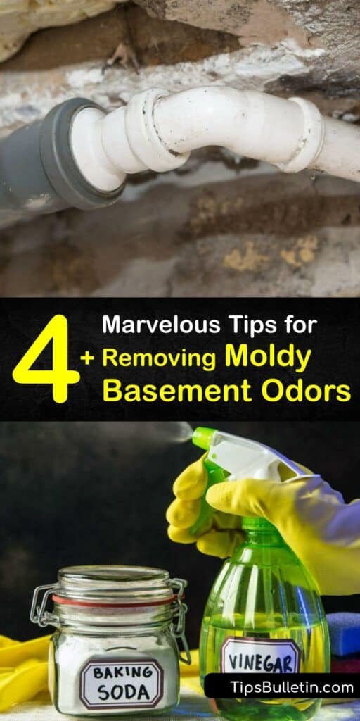 Excess moisture leads to mold spores, giving off a mildew smell and reducing the air quality in your basement. Eliminate a musty basement smell by cleaning with white vinegar or making a simple DIY mold remover spray. #basement #smells #moldy