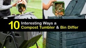 Compost Tumbler vs Bin titleimg1