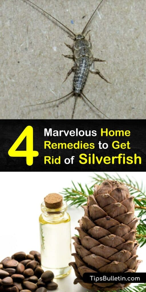 When you see a silverfish or fish moth, you need a home remedy to kill silverfish fast. Like bed bugs, silverfish can be addressed without a pest control service. Use boric acid to eradicate the insects and prevent silverfish with easy home management tips. #home #remedies #rid #silverfish