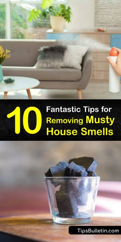 Mold growth and mold spores lead to musty odors and reduce indoor air quality. Find out if your air conditioning is causing your mildew odor and learn easy tricks to get rid of the old house smell with home hacks. #house #smells #musty