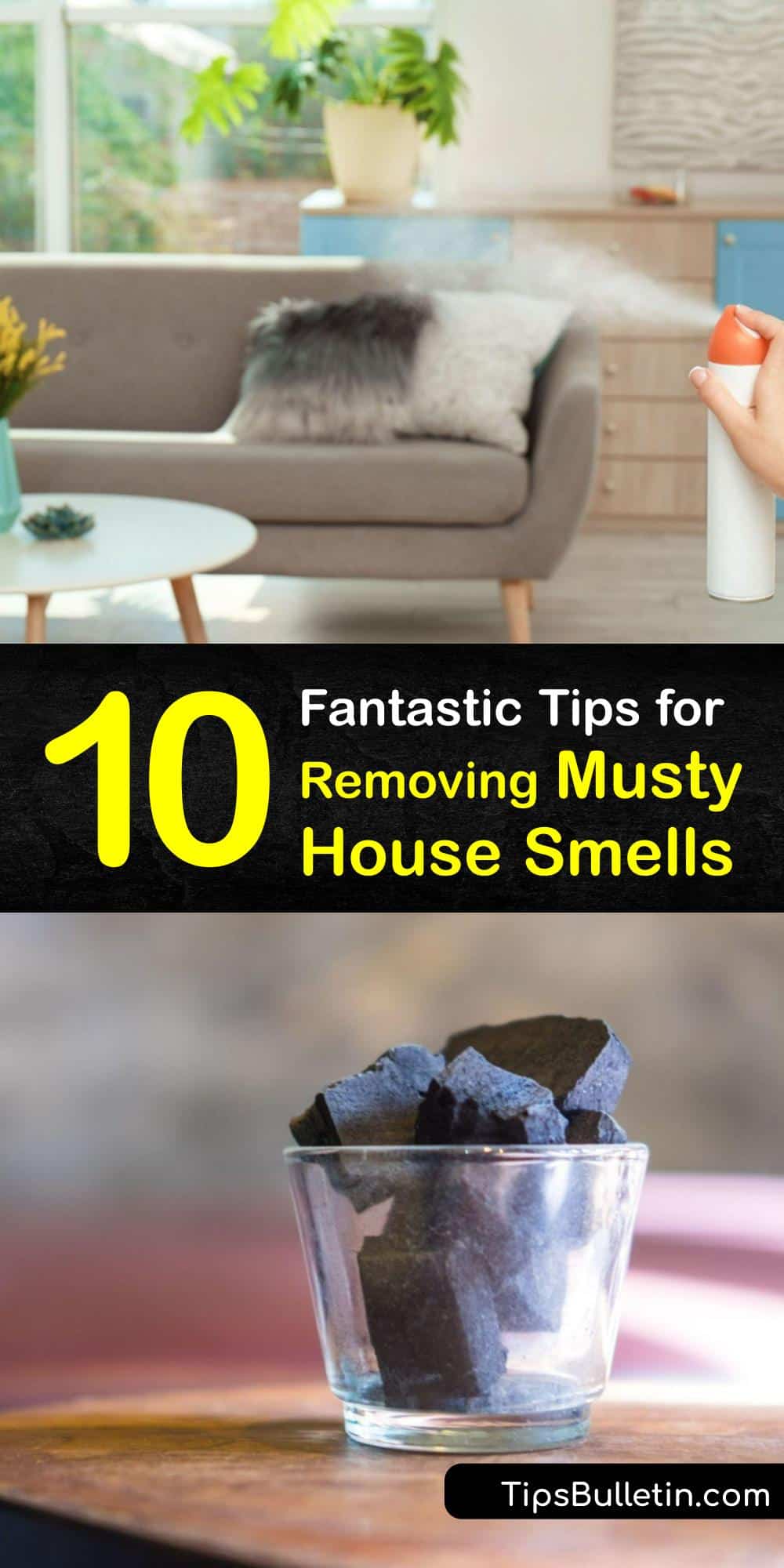 Musty House Smells Removing a Musty Odor from the Home