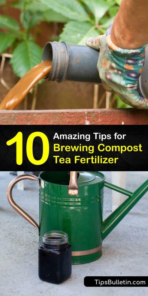 Discover how to make liquid fertilizer for your garden soil and plants with our compost tea recipe. Making aerated compost tea is a great way to turn finished compost into rich plant food, and it’s inexpensive and simple to prepare. #howto #brew #compost #tea #fertilizer