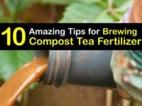 how to brew compost tea fertilizer titleimg1