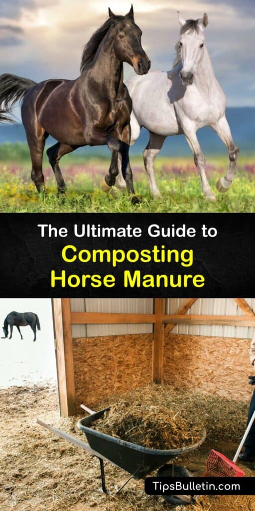 If you’re a horse owner, composting horse manure turns fresh horse manure into valuable horse manure compost. Compost fresh manure, keep the compost pile damp with clean water, and use composted manure in the garden. Avoid composting weeds to prevent spreading weed seed. #compost #horse #manure
