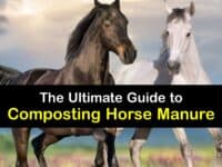 How to Compost Horse Manure titleimg1