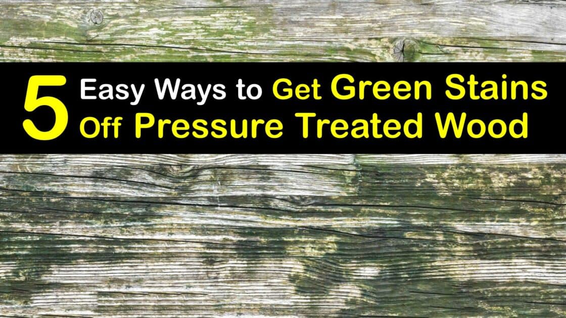 Eliminate Green Stains Removing Green Algae from Wood