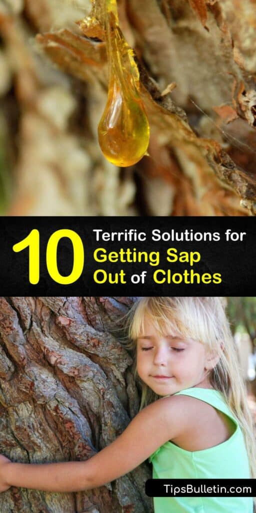 When you get a pine sap stain on your clothes you need to know how to remove tree sap quickly. Get rid of sticky tree sap with effective stain removal remedies using hand sanitizer, rubbing alcohol, Goo Gone, and more. #remove #tree #sap #clothes