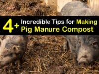How to Make Pig Manure Compost titleimg1