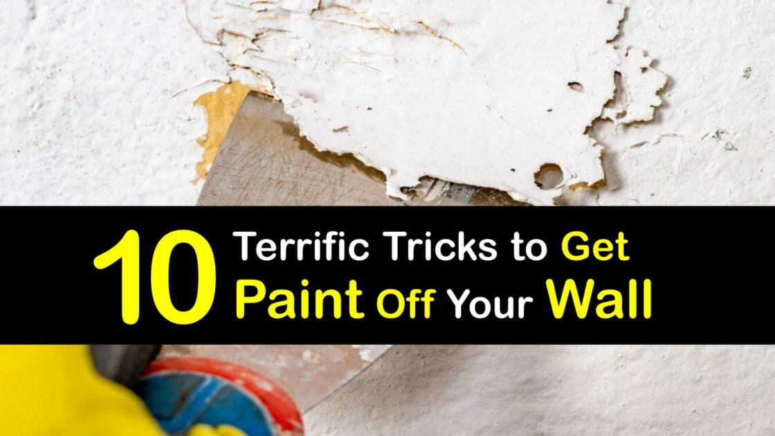 Paint Cleaning Incredible Tips for Removing Paint from the Wall