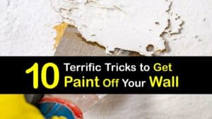 How to Remove Paint from Walls titleimg1
