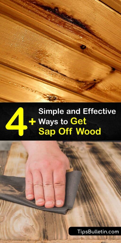 Pine sap is the pits. Removing a tree sap stain from wood is challenging, and we’re here to help. Discover how to use simple household items like rubbing alcohol, mineral spirit, and Murphy Oil Soap to solve your sap problem. This guide has everything you need for success. #remove #tree #sap #wood