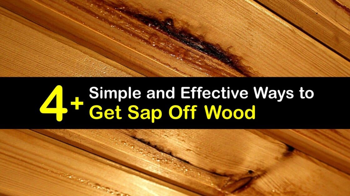 Eliminate Tree Sap Stains Tricks for Removing Sap from Wood