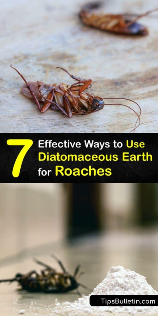 Discover how to use food grade diatomaceous earth to prevent cockroaches from infesting your home. How does diatomaceous earth kill roaches? This natural powder pierces the exoskeleton of the cockroach, leading to its death. #diatomaceous #earth #getridof #cockroaches