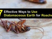 How to Use Diatomaceous Earth for Roaches titleimg1