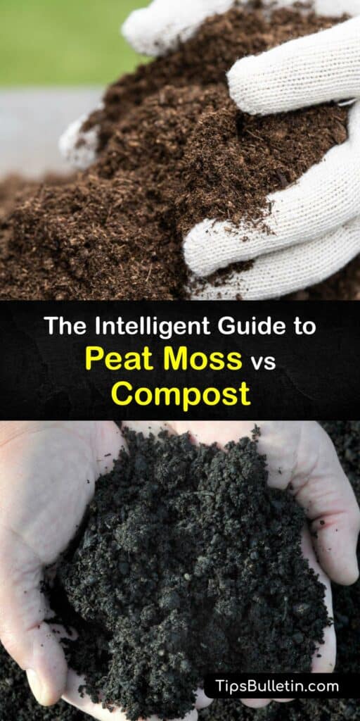 Sphagnum moss is a florist’s tool often confused with sphagnum peat moss for gardening. Like compost, peat moss is made from decayed organic matter. Both compost and peat moss enrich clay soil or potting soil for plants, though peat moss is not sustainable. #peat #moss #compost