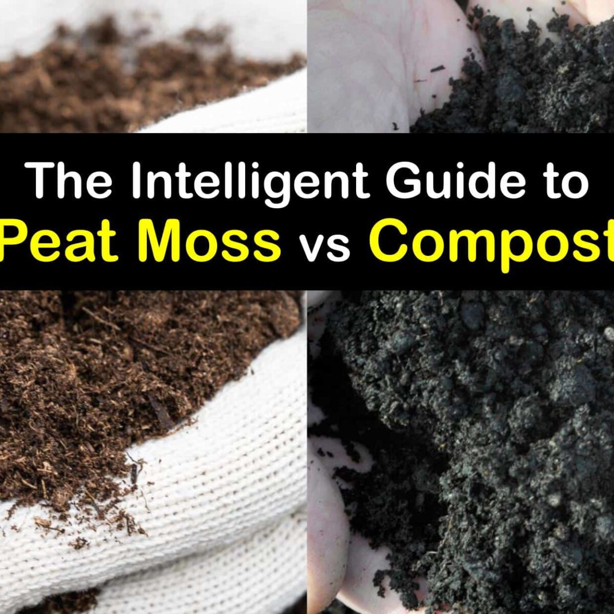 The Difference Between Peat Moss and Compost