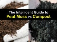 Peat Moss vs Compost titleimg1