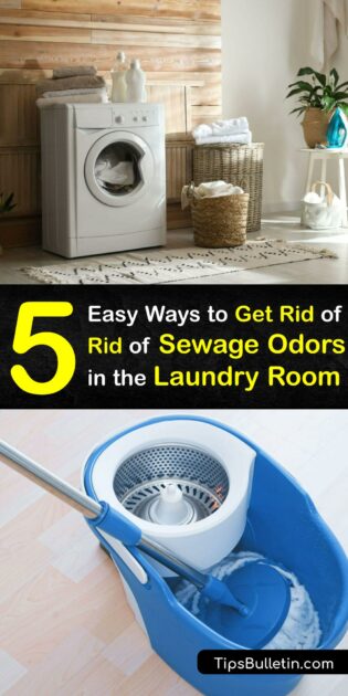 Sewer Smell in the Laundry Room - Eliminate Sewage Odors