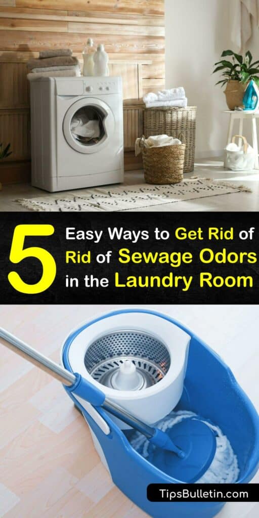 Whether you have smelly drain odor or a general sewer gas smell, sewer odor is unwelcome. Clean the drains to erase sewer smell from bacteria and check the vent pipe and septic tank lines to clear blockages causing sewage smell in your home. #remove #sewage #smell #laundry #room