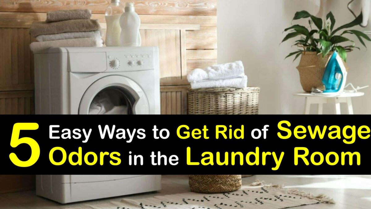 Sewer Smell in the Laundry Room Eliminate Sewage Odors