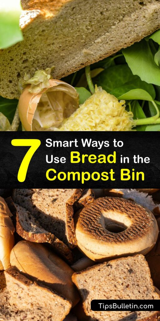 Adding stale bread scraps to your compost bin or pile helps to reduce food waste. Hot composting processes organic matter quickly and kills harmful organisms on moldy bread to make safe, nutritious, finished compost. #compost #bread