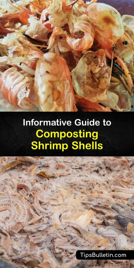 Using the shell from crustaceans in your compost pile has the risk of producing a foul smell that attracts pests to your yard. But, with tips on how to include a cooked shrimp shell in the compost bin, you can avoid odors in your compost while improving your garden soil. #compost #shrimp #shells