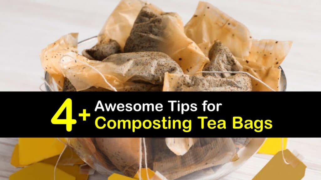 Can You Compost Tea Bags titleimg1