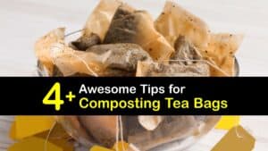 Can You Compost Tea Bags titleimg1