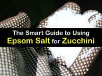 Epsom Salt for Zucchini titleimg1