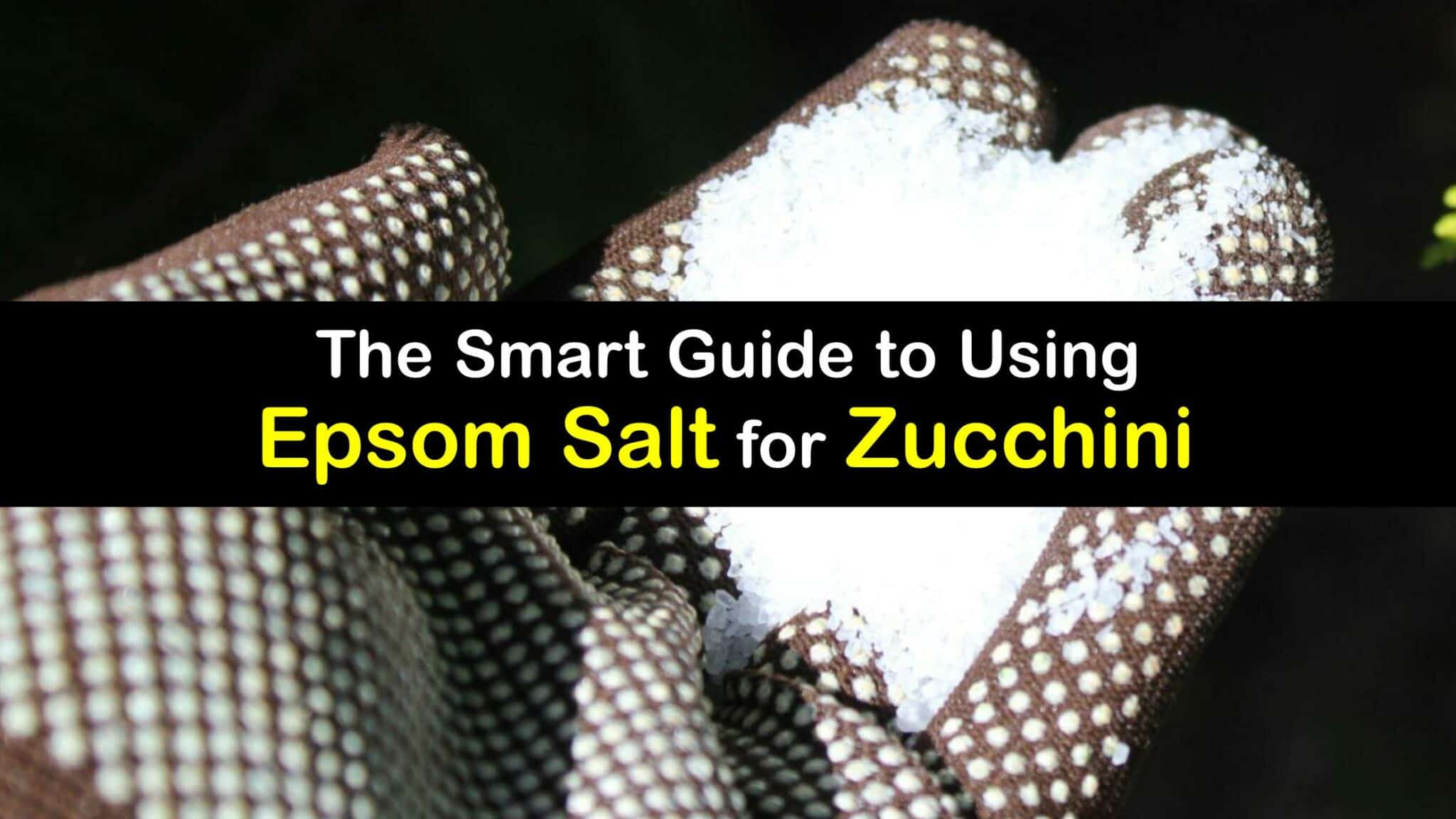 Simple Zucchini Plant Fertilizer Epsom Salt for Zucchini