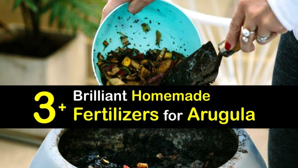 Homemade Fertilizer for Arugula titleimg1