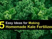 Homemade Fertilizer for Kale titleimg1